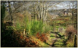 Sprimont P07 | Autour de Dolembreux | 7.77 km - Départ Dolembreux