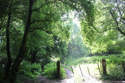 Sprimont P16 | 9.5 km - De l'eau d'ici à l'eau de là - Départ Andoumont
